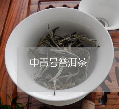 中青号普洱茶/2023112661402