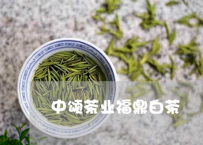 中颂茶业福鼎白茶/2023112673836