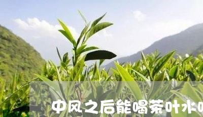 中风之后能喝茶叶水吗/2023061245935