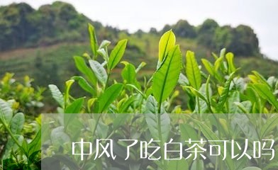 中风了吃白茶可以吗/2023071489614