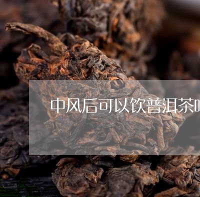 中风后可以饮普洱茶吗/2023073118260