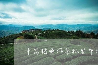 中高档普洱茶批发市场在哪/2023082889371