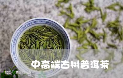 中高端古树普洱茶/2023102619616