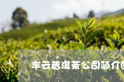 丰云普洱茶公司简介图片/2023103116140