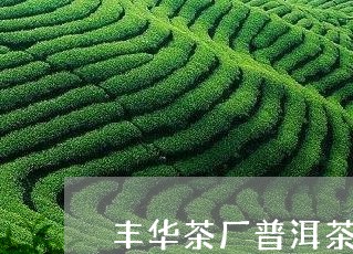 丰华茶厂普洱茶饼价格/2023061388262