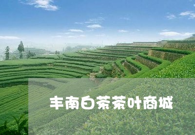 丰南白茶茶叶商城/2023061498272