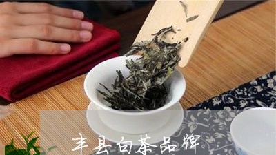 丰县白茶品牌/2023051204258