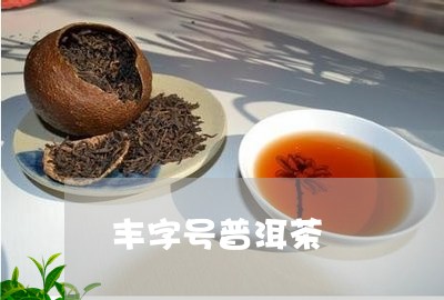 丰字号普洱茶/2023042701312