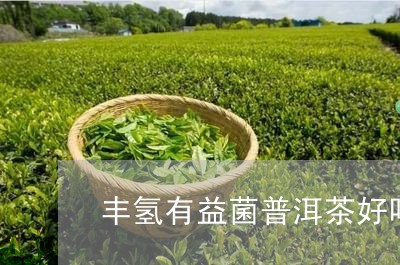 丰氢有益菌普洱茶好吗/2023092962835