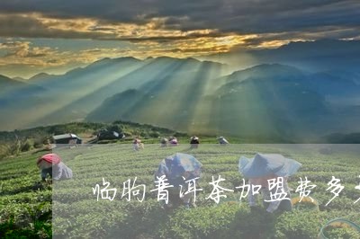 临朐普洱茶加盟费多少/2023092579614