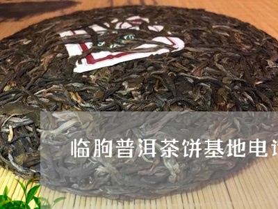 临朐普洱茶饼基地电话/2023063050814