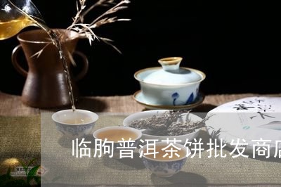 临朐普洱茶饼批发商店地址/2023110483260