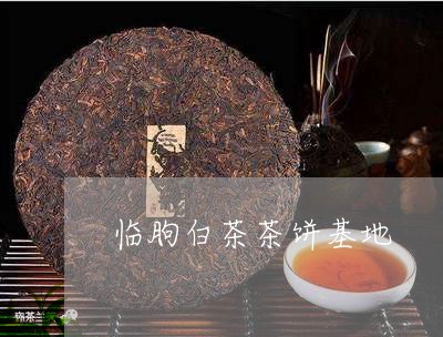 临朐白茶茶饼基地/2023061480816