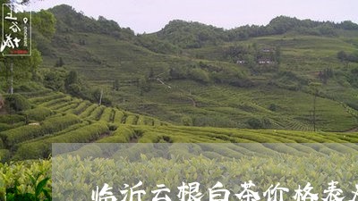 临沂云根白茶价格表及图片/2023111643737