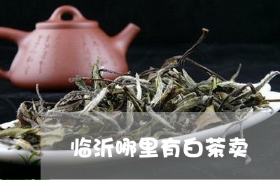 临沂哪里有白茶卖/2023061490483