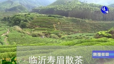 临沂寿眉散茶/2023051277269