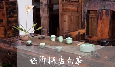 临沂探店白茶/2023051273047