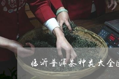 临沂普洱茶种类大全图片及价格/2023082818161