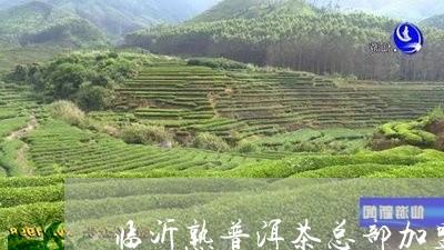 临沂熟普洱茶总部加盟/2023092539504