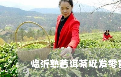 临沂熟普洱茶批发零售/2023072467268