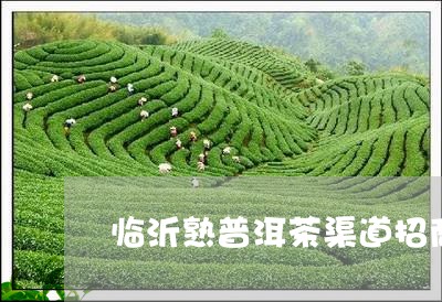 临沂熟普洱茶渠道招商/2023061442160