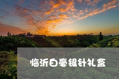 临沂白毫银针礼盒/2023061409514