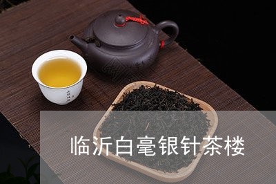 临沂白毫银针茶楼/2023061407593