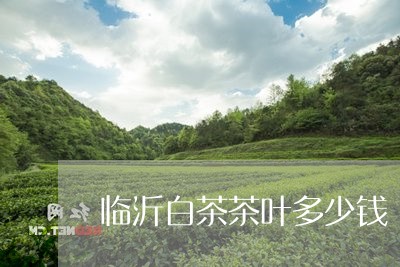 临沂白茶茶叶多少钱/2023121581936