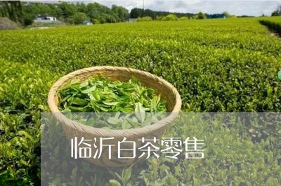 临沂白茶零售/2023051277493