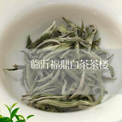 临沂福鼎白茶茶楼/2023061474150