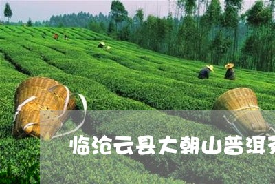 临沧云县大朝山普洱茶/2023080253139