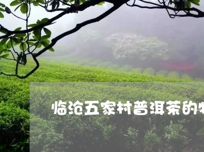 临沧五家村普洱茶的特点/2023050591413