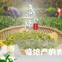 临沧产的为何叫普洱茶/2023073182836