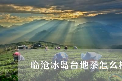 临沧冰岛台地茶怎么样/2023092317482