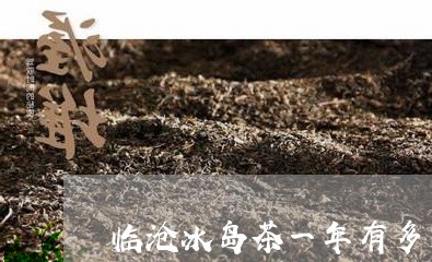 临沧冰岛茶一年有多少/2023061244143