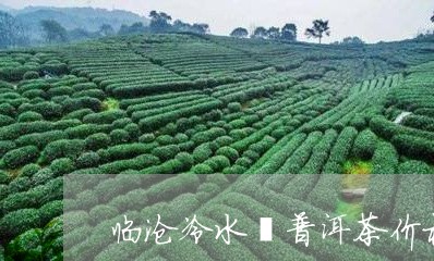 临沧冷水箐普洱茶价格/2023062769404