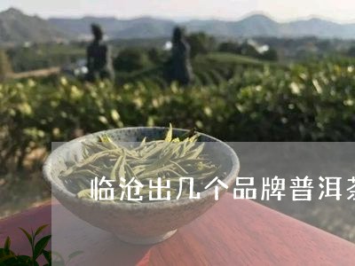 临沧出几个品牌普洱茶/2023080327250