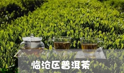 临沧区普洱茶/2023042736947