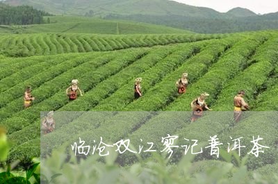 临沧双江廖记普洱茶/2023081607168