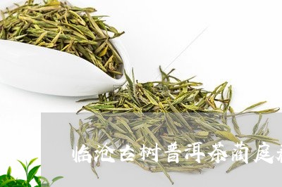 临沧古树普洱茶蔺庭春/2023061783734