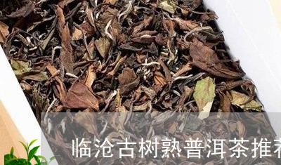 临沧古树熟普洱茶推荐/2023072483946