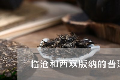 临沧和西双版纳的普洱茶哪个好/2023110403845