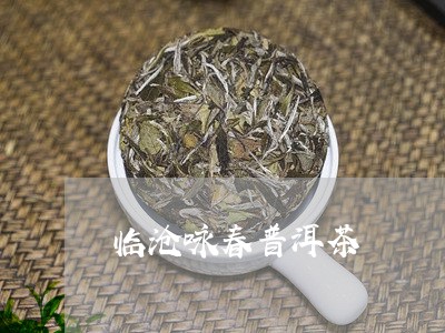 临沧咏春普洱茶/2023101671796