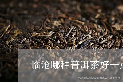 临沧哪种普洱茶好一点儿/2023082775162