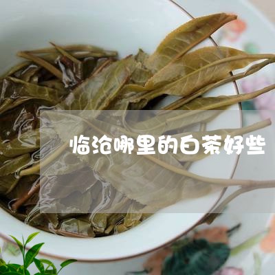 临沧哪里的白茶好些/2023121582936