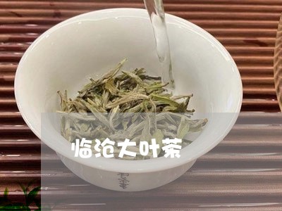 临沧大叶茶/2023090243047