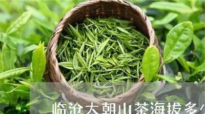 临沧大朝山茶海拔多少/2023071560827