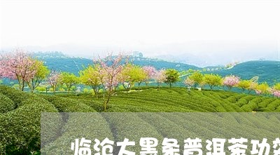 临沧大黑条普洱茶功效/2023120765039