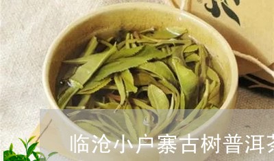 临沧小户寨古树普洱茶/2023093056178