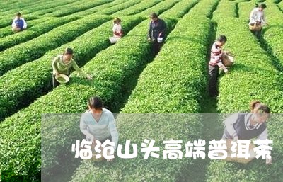 临沧山头高端普洱茶/2023120551615